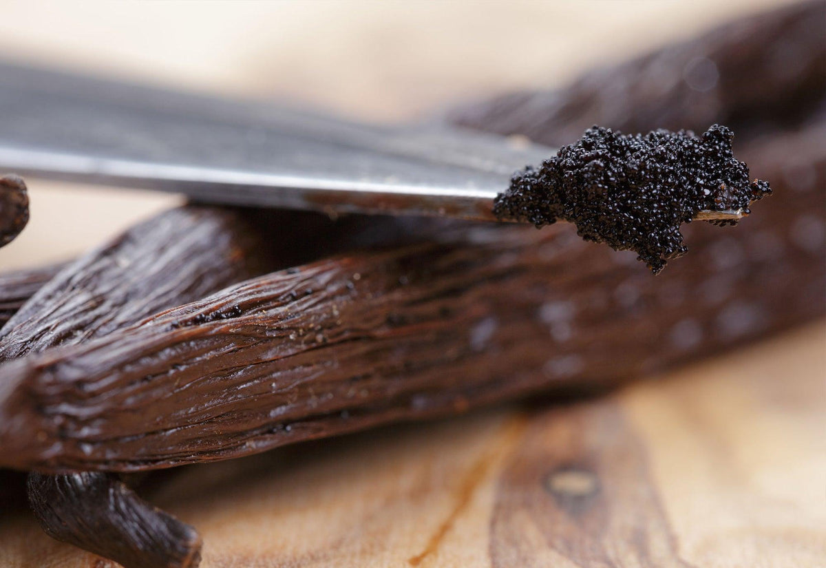 Vanilla Bean Aromas - LOMA RETAIL