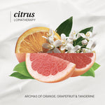 Citrus Hand & Body Lotion - LOMA RETAIL