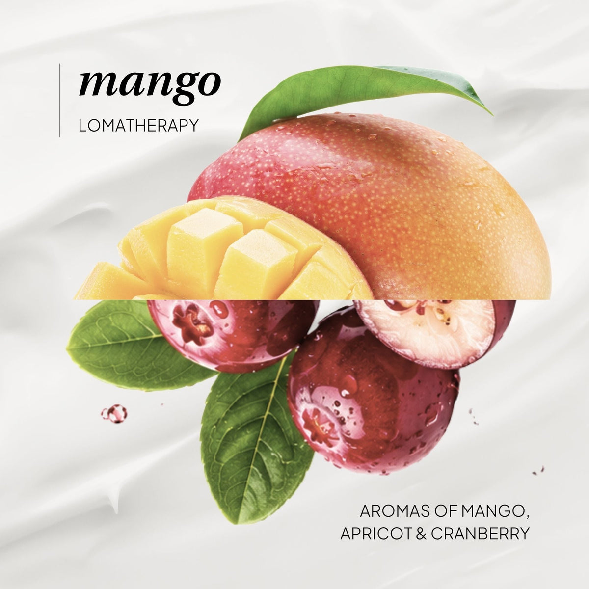 Mango Body Wash - LOMA RETAIL