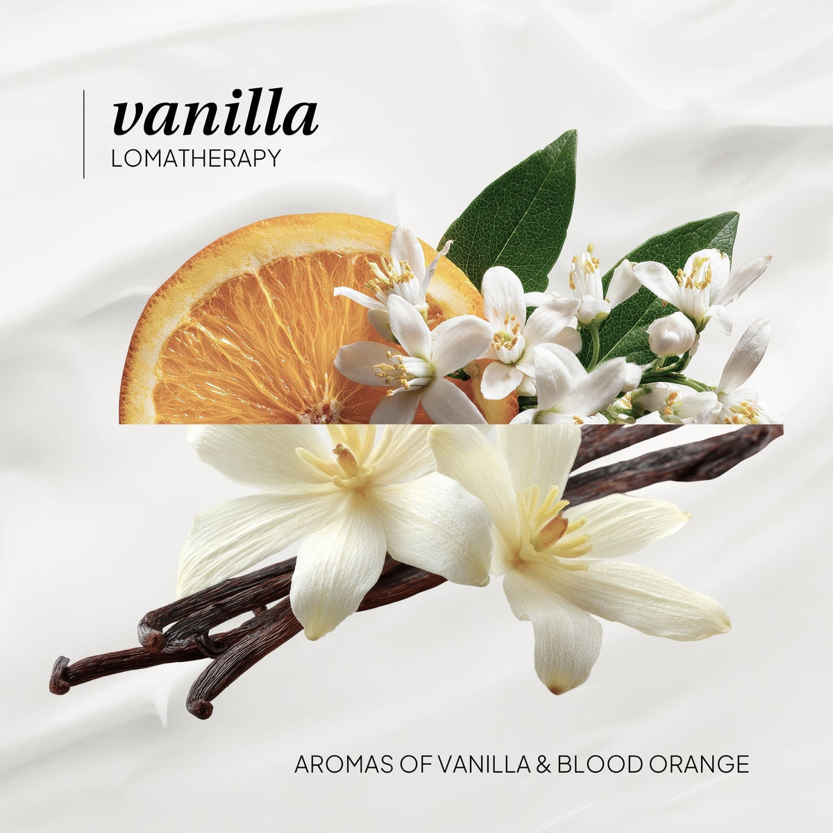 Vanilla Hand & Body Lotion - LOMA RETAIL