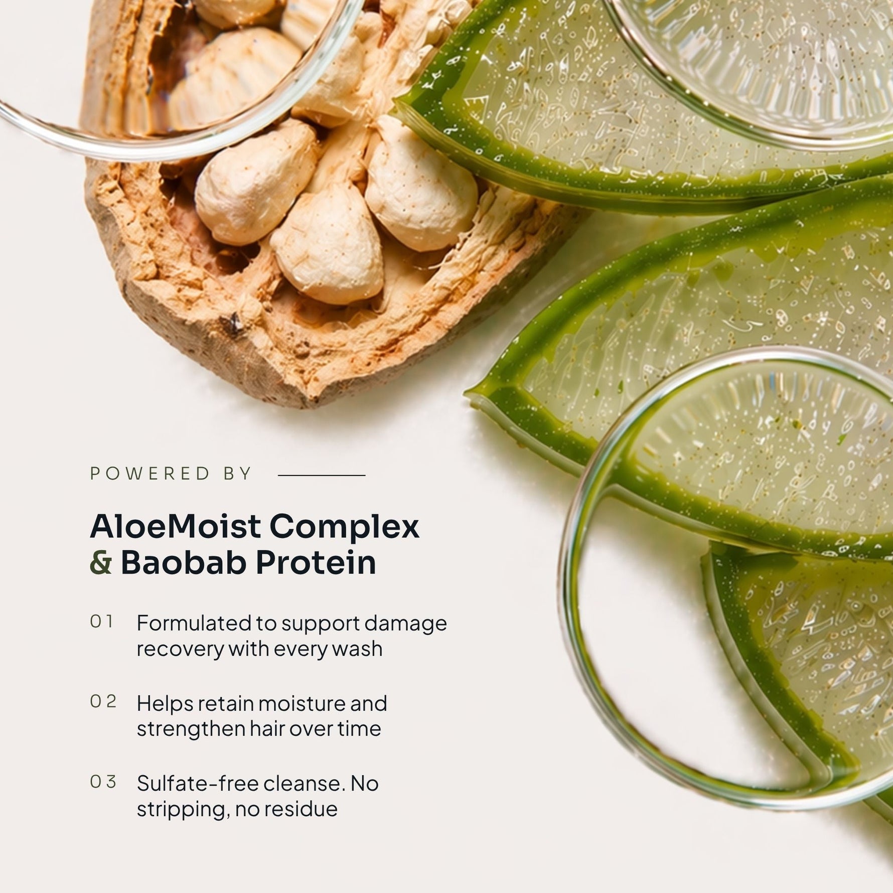 Nourishing Shampoo - LOMA RETAIL