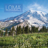 Brand Brochure